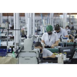 83% dos municípios do Paraná tiveram saldo positivo de empregos até novembro